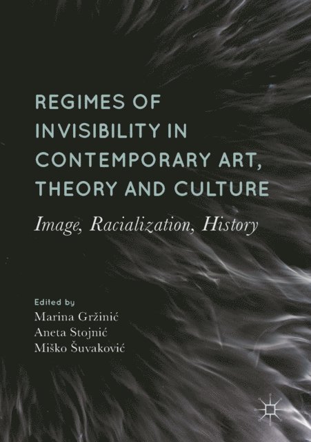 Misko Suvakovic, Aneta Stojnic, Marina Grzinic - Regimes of Invisibility in Contemporary Art, Theory and Culture, E-bok