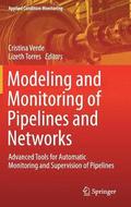 Modeling and Monitoring of Pipelines and Networks