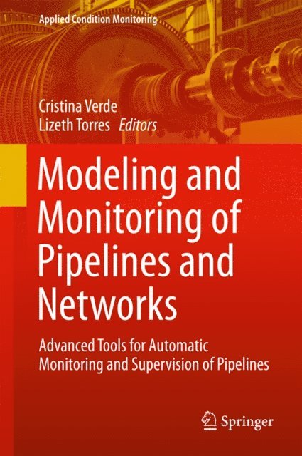 Lizeth Torres, Cristina Verde - Modeling and Monitoring of Pipelines and Networks, E-bok