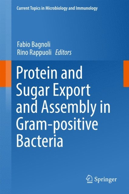 Rino Rappuoli, Fabio Bagnoli - Protein and Sugar Export and Assembly in Gram-positive Bacteria, E-bok