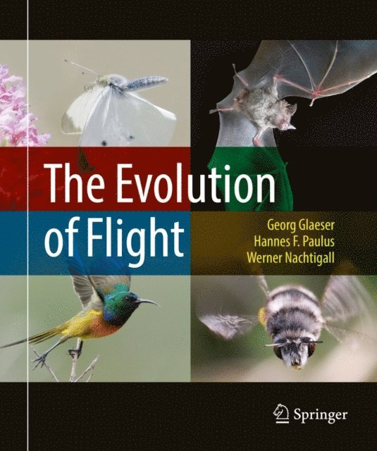 Werner Nachtigall, Hannes F. Paulus, Georg Glaeser - Evolution of Flight, E-bok