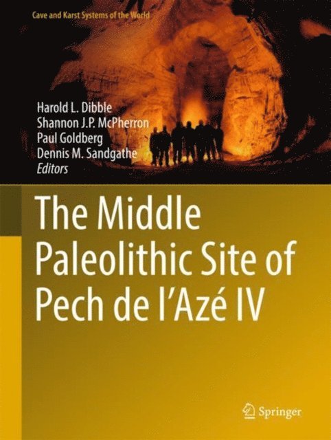 Dennis M. Sandgathe, Paul Goldberg, Shannon J. P. McPherron, Harold L. Dibble - Middle Paleolithic Site of Pech de l'Aze IV, E-bok