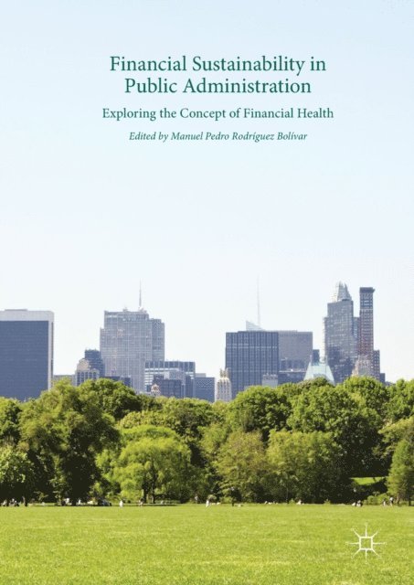 Manuel Pedro Rodriguez Bolivar - Financial Sustainability in Public Administration, E-bok