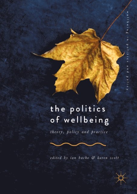 Karen Scott, Ian Bache - Politics of Wellbeing, E-bok
