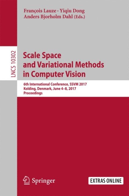 Anders Bjorholm Dahl, Yiqiu Dong, Francois Lauze - Scale Space and Variational Methods in Computer Vision, E-bok