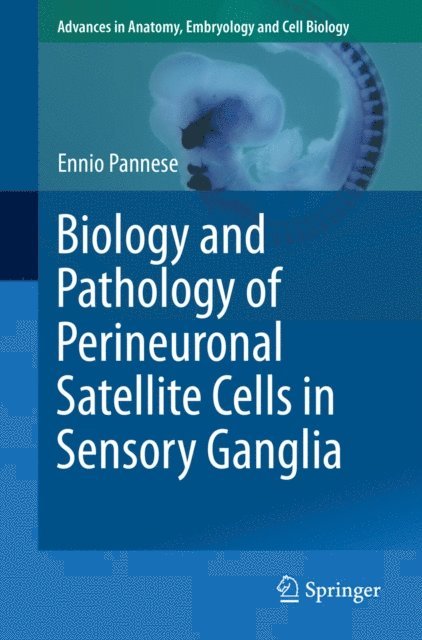 Ennio Pannese - Biology and Pathology of Perineuronal Satellite Cells in Sensory Ganglia, E-bok