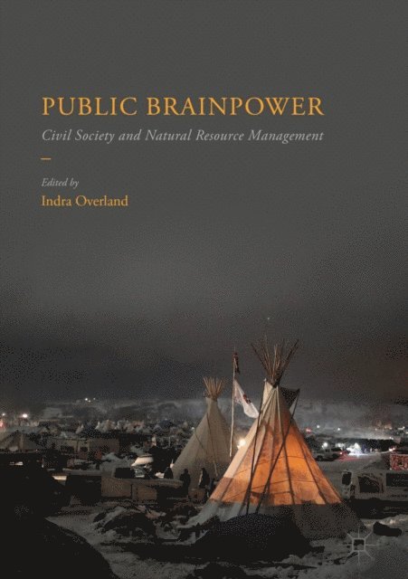 Indra Overland - Public Brainpower, E-bok