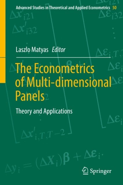 Laszlo Matyas - Econometrics of Multi-dimensional Panels, E-bok