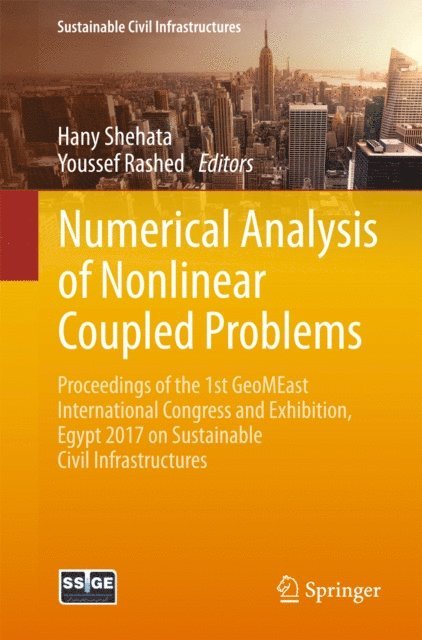 Youssef Rashed, Hany Shehata - Numerical Analysis of Nonlinear Coupled Problems, E-bok