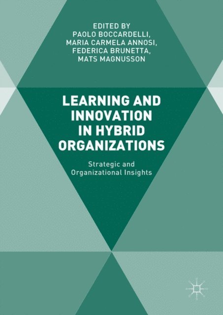 Mats Magnusson, Federica Brunetta, Maria Carmela Annosi, Paolo Boccardelli - Learning and Innovation in Hybrid Organizations, E-bok