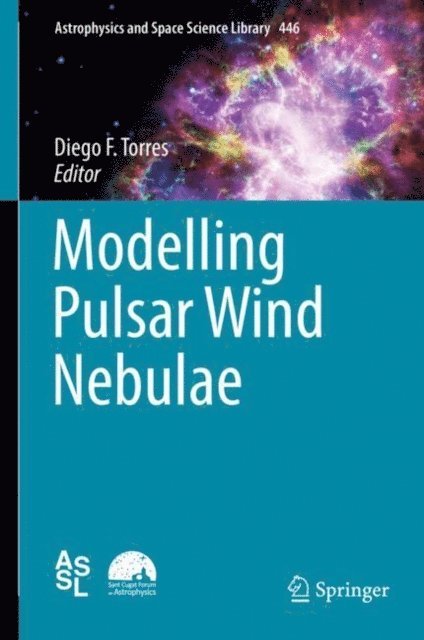 Diego F. Torres - Modelling Pulsar Wind Nebulae, E-bok