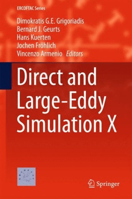 Vincenzo Armenio, Jochen Frohlich, Hans Kuerten, Bernard J. Geurts, Dimokratis G.E. Grigoriadis - Direct and Large-Eddy Simulation X, E-bok
