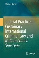 Thomas Rauter - Judicial Practice, Customary International Criminal Law and Nullum Crimen Sine Lege, Inbunden