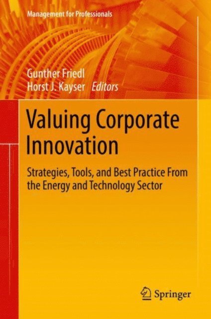 Horst J. Kayser, Gunther Friedl - Valuing Corporate Innovation, E-bok