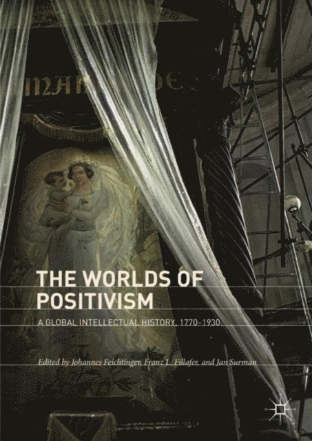 Jan Surman, Franz L. Fillafer, Johannes Feichtinger - Worlds of Positivism, E-bok