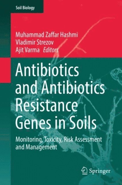 Ajit Varma, Vladimir Strezov, Muhammad Zaffar Hashmi - Antibiotics and Antibiotics Resistance Genes in Soils, E-bok