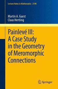 Painlev III: A Case Study in the Geometry of Meromorphic Connections