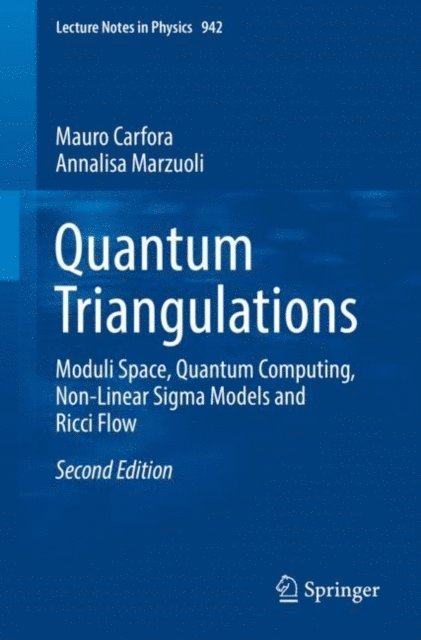 Annalisa Marzuoli, Mauro Carfora - Quantum Triangulations, E-bok