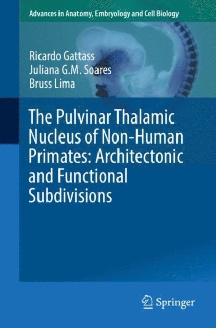 Bruss Lima, Juliana G.M. Soares, Ricardo Gattass - Pulvinar Thalamic Nucleus of Non-Human Primates: Architectonic and Functional Subdivisions, E-bok