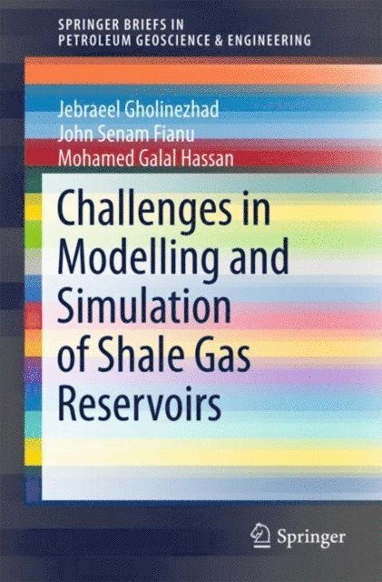 Mohamed Galal Hassan, John Senam Fianu, Jebraeel Gholinezhad - Challenges in Modelling and Simulation of Shale Gas Reservoirs, E-bok