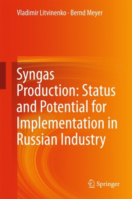 Bernd Meyer, Vladimir Litvinenko - Syngas Production: Status and Potential for Implementation in Russian Industry, E-bok