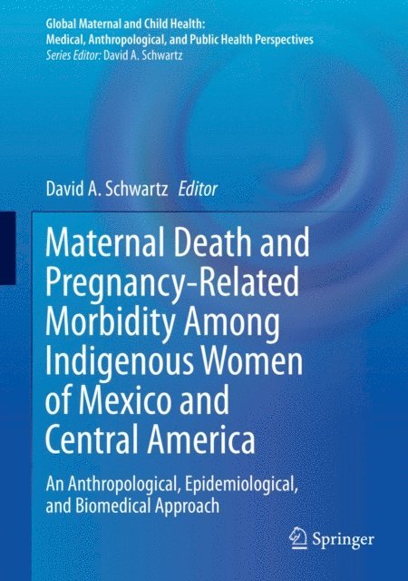 David A. Schwartz - Maternal Death and Pregnancy-Related Morbidity Among Indigenous Women of Mexico and Central America, E-bok