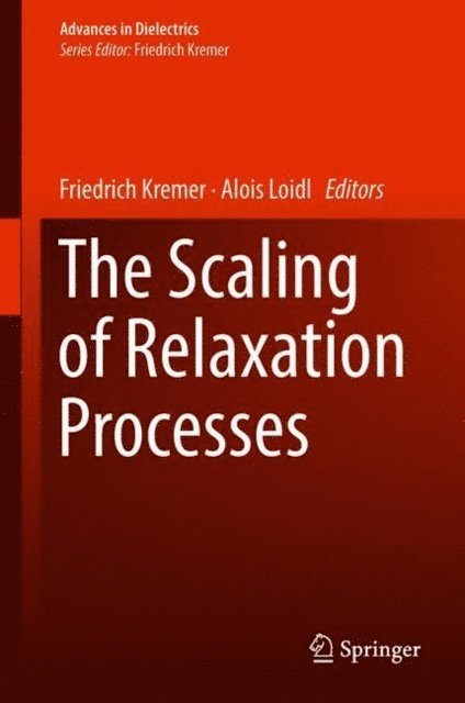 Alois Loidl, Friedrich Kremer - Scaling of Relaxation Processes, E-bok