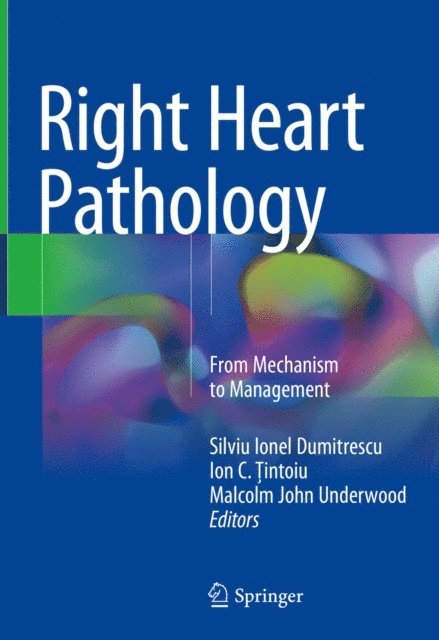 Malcolm John Underwood, Ion C. Tintoiu, Silviu Ionel Dumitrescu - Right Heart Pathology, E-bok