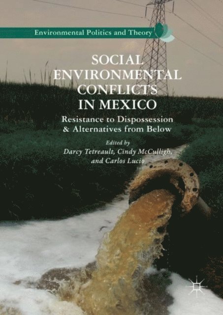 Carlos Lucio, Cindy McCulligh, Darcy Tetreault - Social Environmental Conflicts in Mexico, E-bok