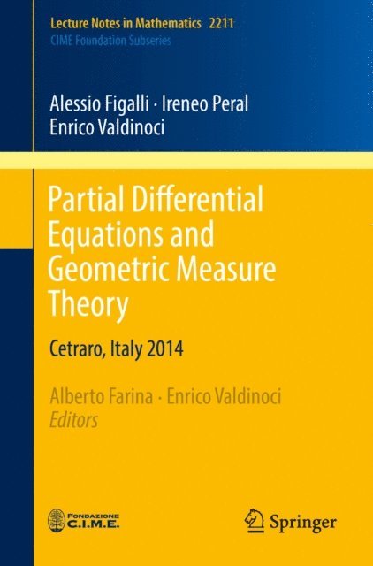 Enrico Valdinoci, Ireneo Peral, Alessio Figalli, Enrico Valdinoci, Alberto Farina - Partial Differential Equations and Geometric Measure Theory, E-bok