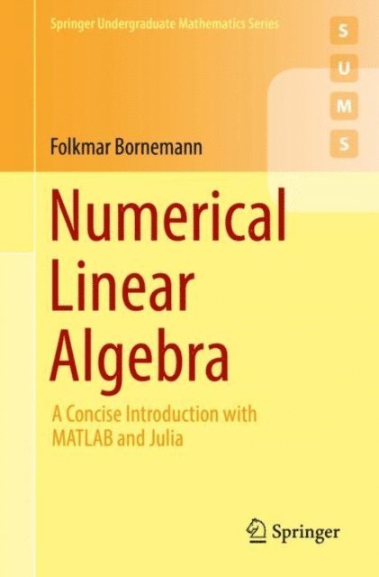 Folkmar Bornemann - Numerical Linear Algebra, E-bok
