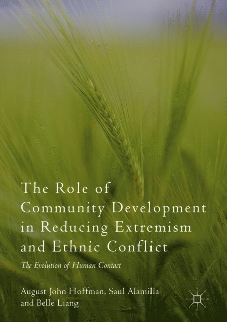 Belle Liang, Saul Alamilla, August John Hoffman - Role of Community Development in Reducing Extremism and Ethnic Conflict, E-bok