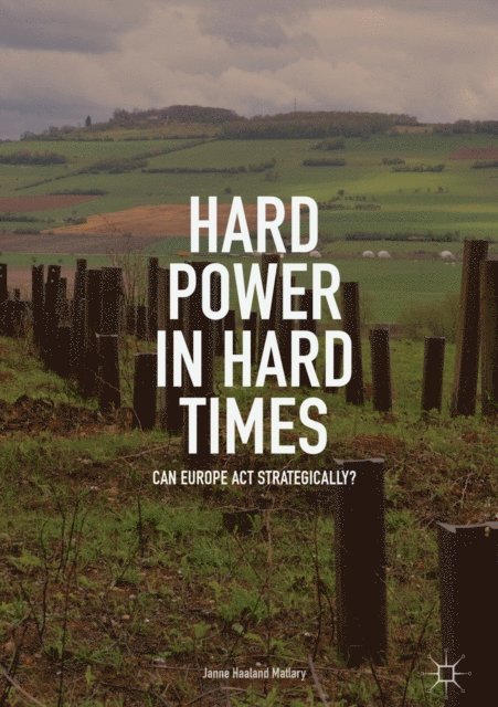 Janne Haaland Matlary - Hard Power in Hard Times, E-bok