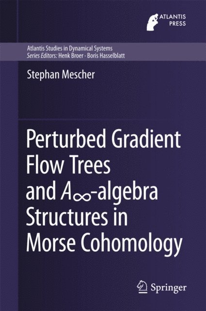 Stephan Mescher - Perturbed Gradient Flow Trees and Ainfinity-algebra Structures in Morse Cohomology, E-bok