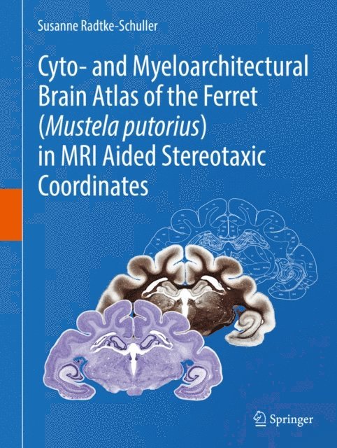 Susanne Radtke-Schuller - Cyto- and Myeloarchitectural Brain Atlas of the Ferret (Mustela putorius) in MRI Aided Stereotaxic Coordinates, E-bok