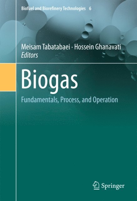 Hossein Ghanavati, Meisam Tabatabaei - Biogas, E-bok