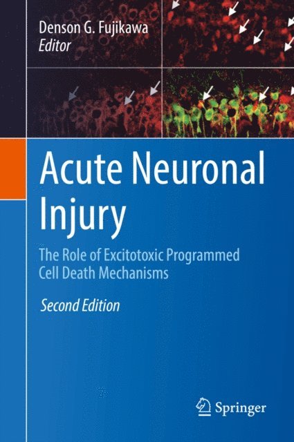 Denson G. Fujikawa - Acute Neuronal Injury, E-bok