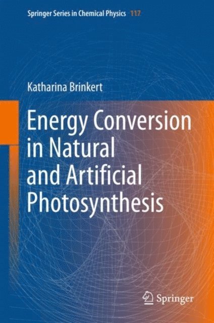 Katharina Brinkert - Energy Conversion in Natural and Artificial Photosynthesis, E-bok