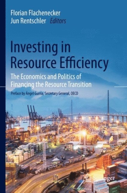 Jun Rentschler, Florian Flachenecker - Investing in Resource Efficiency, E-bok