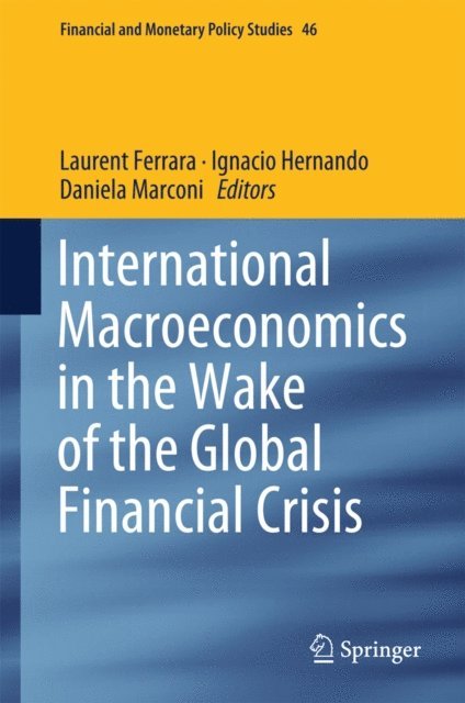 Daniela Marconi, Ignacio Hernando, Laurent Ferrara - International Macroeconomics in the Wake of the Global Financial Crisis, E-bok