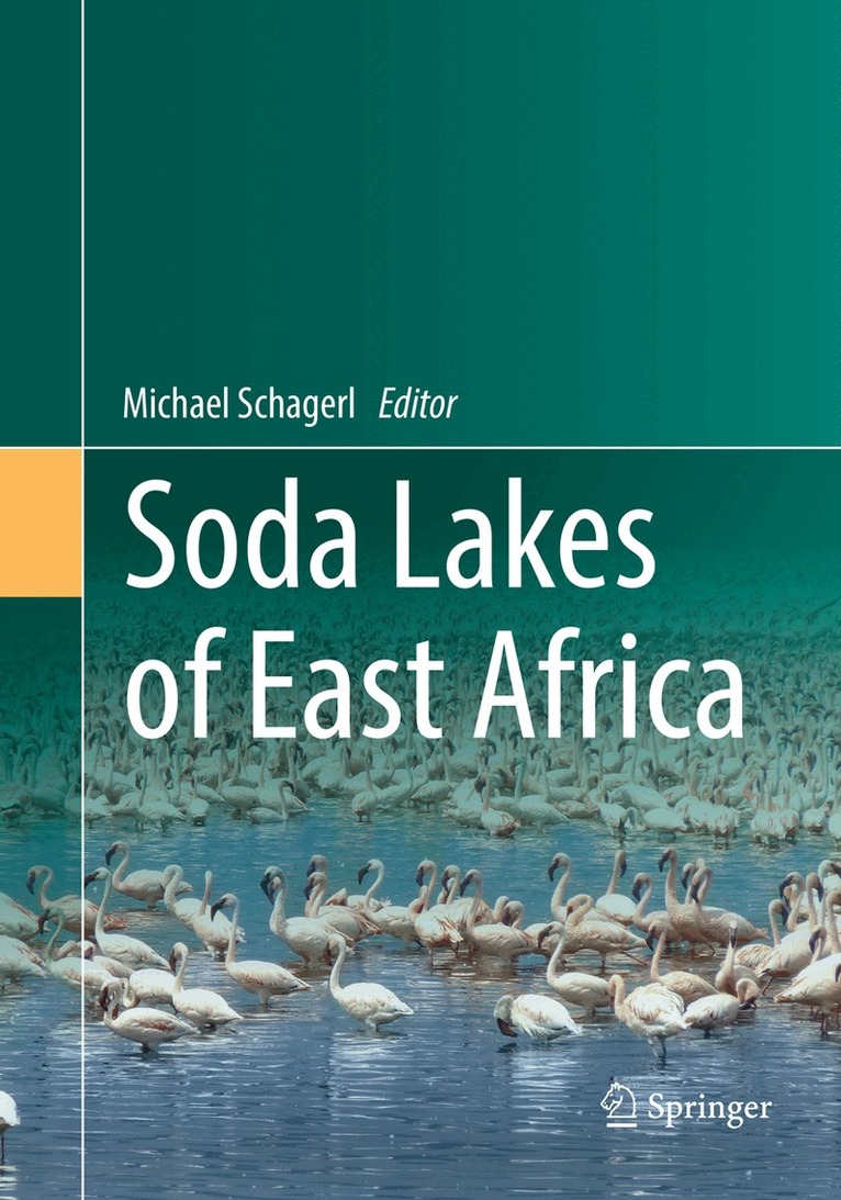 Michael Schagerl - Soda Lakes of East Africa, Häftad