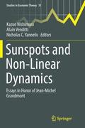 Sunspots and Non-Linear Dynamics