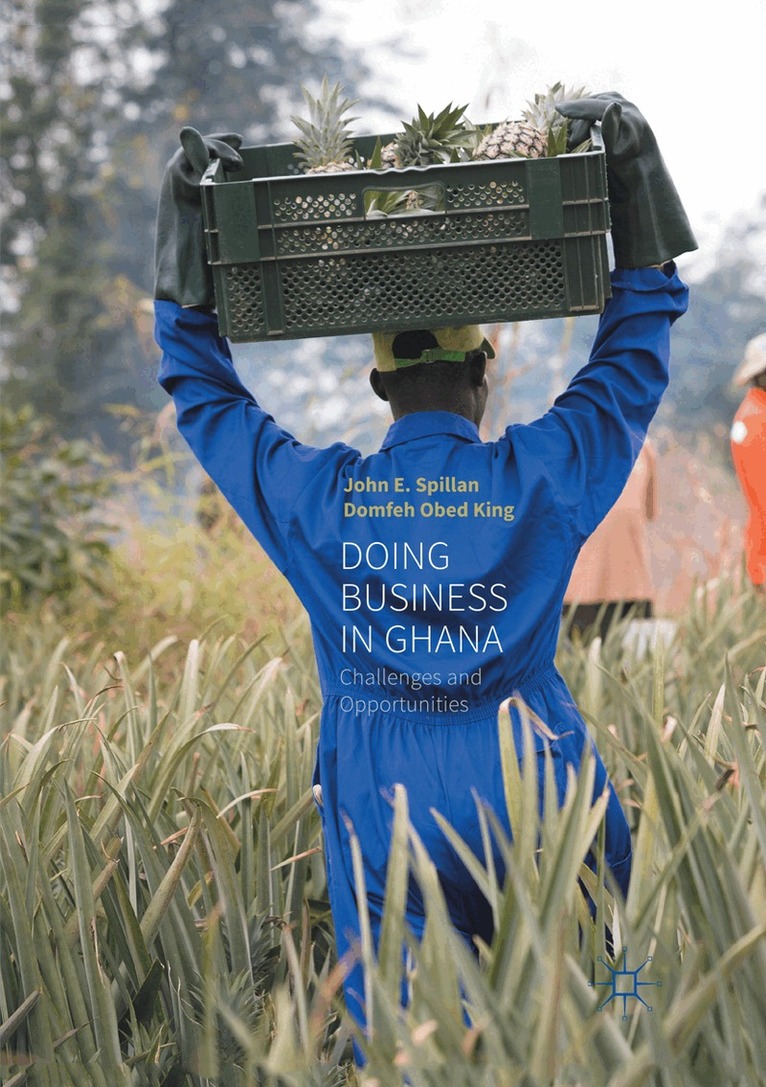 John E. Spillan, Domfeh Obed King - Doing Business In Ghana, Häftad