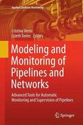 Modeling and Monitoring of Pipelines and Networks