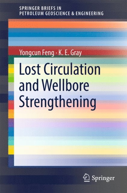 K. E. Gray, Yongcun Feng - Lost Circulation and Wellbore Strengthening, E-bok