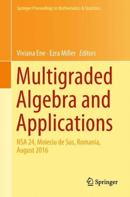 Ezra Miller, Viviana Ene - Multigraded Algebra and Applications, E-bok
