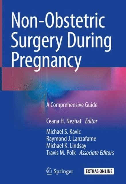 Travis M. Polk, Michael K. Lindsay, Raymond J. Lanzafame, Michael S. Kavic, Ceana H. Nezhat - Non-Obstetric Surgery During Pregnancy, E-bok
