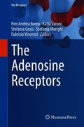 Adenosine Receptors