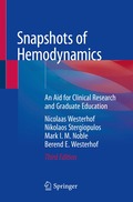 Snapshots of Hemodynamics