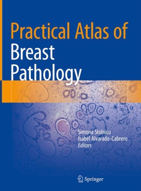 Isabel Alvarado-Cabrero, Simona Stolnicu - Practical Atlas of Breast Pathology, E-bok